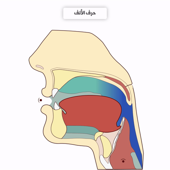 Makhraj Visual